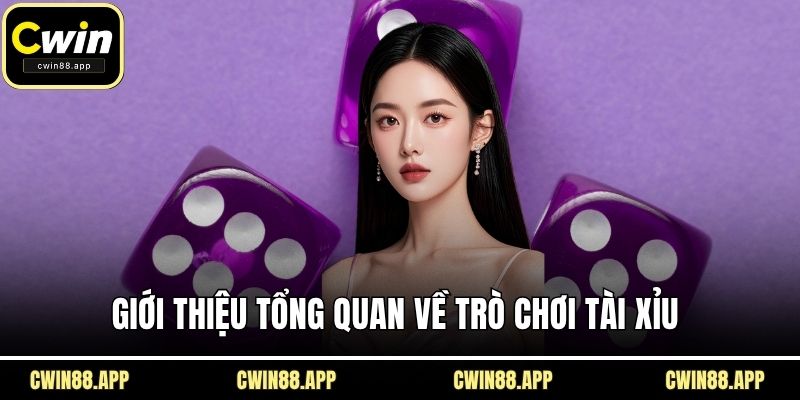 Giới thiệu tổng quan về trò chơi tài xỉu 